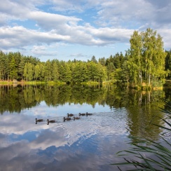 Depositphotos_59884053_xl-2015.jpg